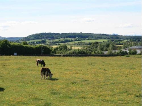 Hillhead Farm Lets Hotell Stirling Exteriör bild