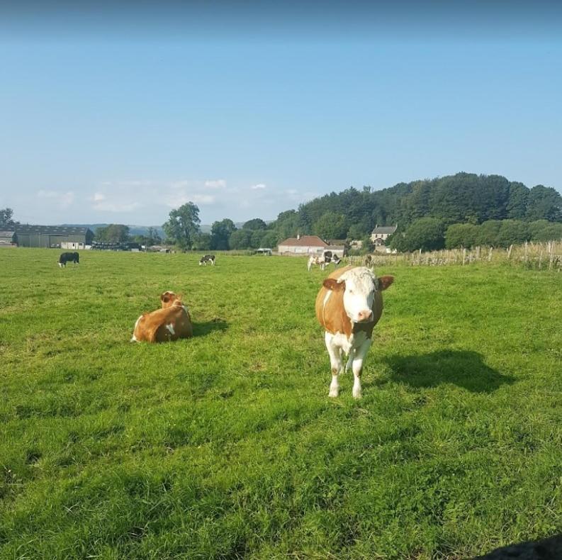 Hillhead Farm Lets Hotell Stirling Exteriör bild